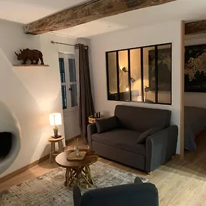 Cosy Grand Studio Appartement